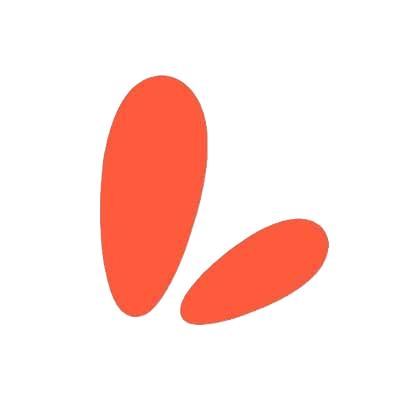 Lisa - Business Automation